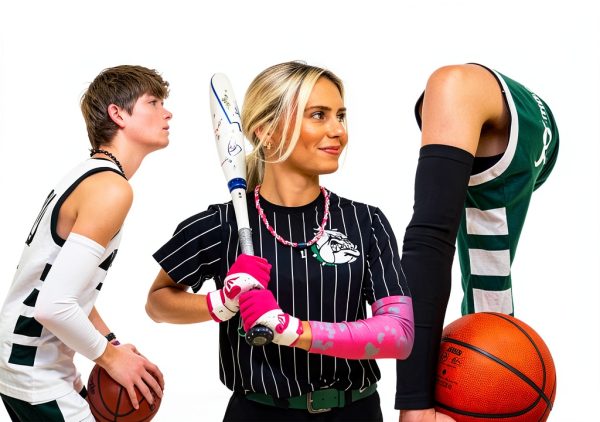 Sports Farm Unisex Basketball Sleeves Customizable-1